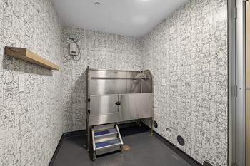 Pet washing station